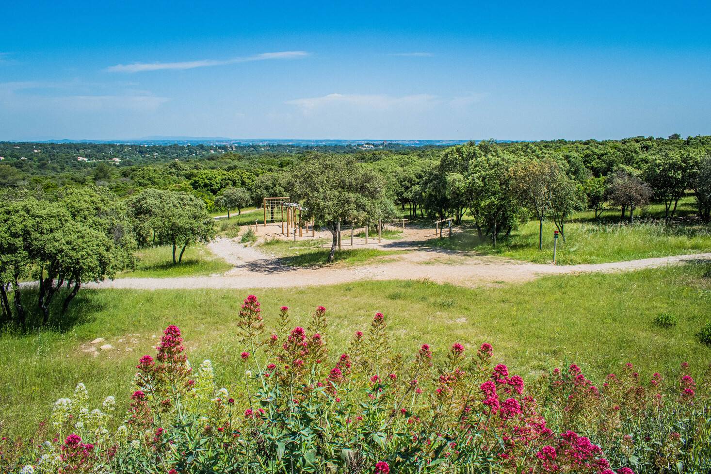 Que faire dans la région des Garrigues dans le Gard ? Les immanquables